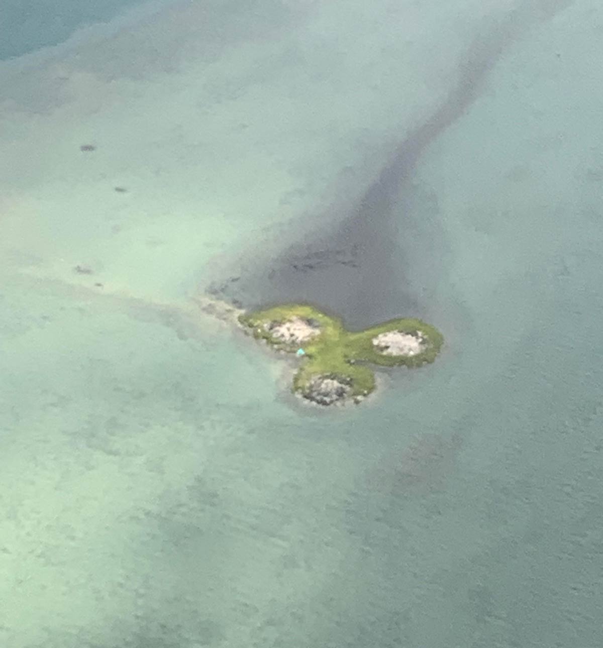 Found fidget spinner island near Hawaii