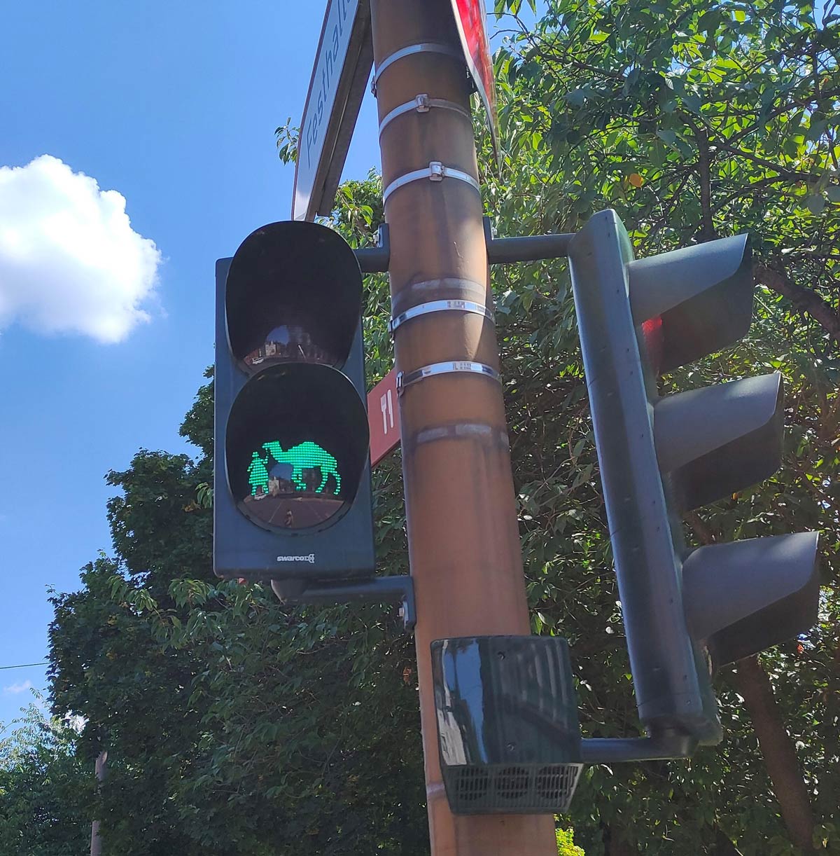 This traffic light in Germany has a little girl and a camel as signal lights