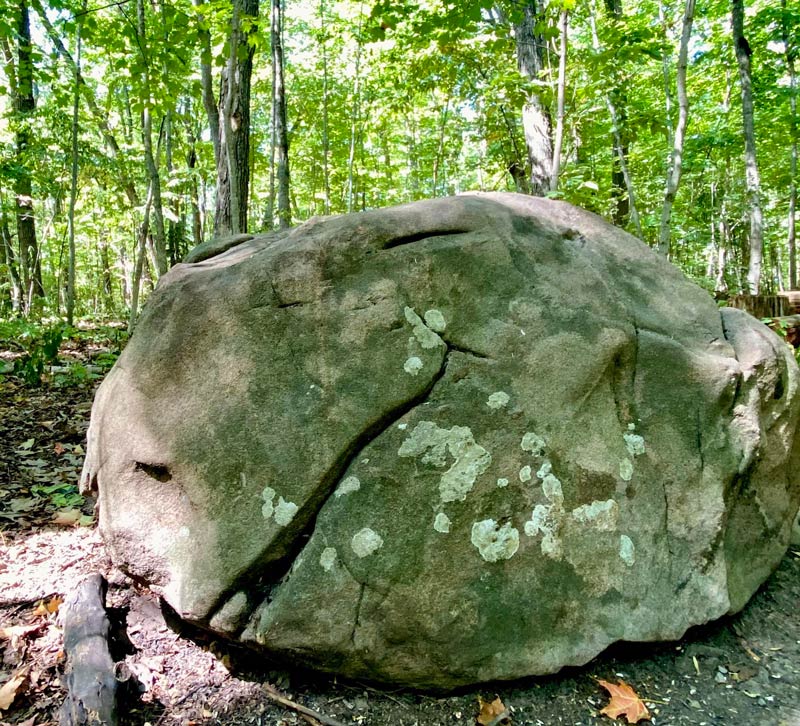 This turtle head looking boulder