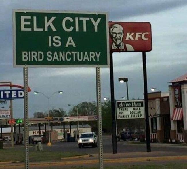 Elk City is a Bird Sanctuary