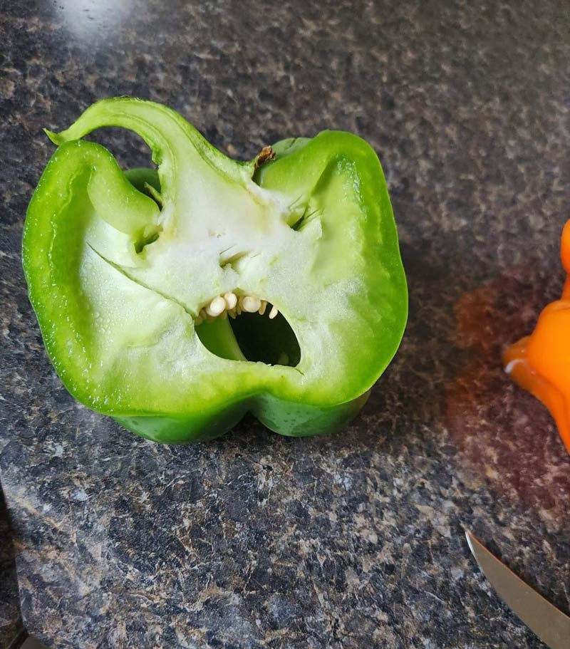 Bell pepper brought some Halloween spirit today