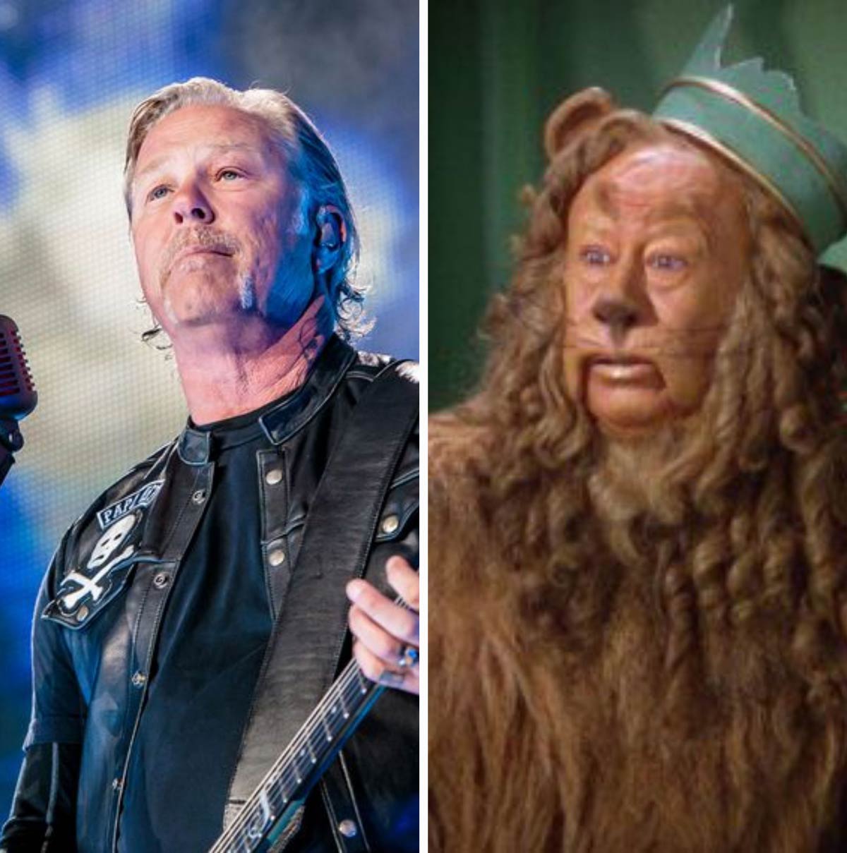 I'm just saying... I've never seen James Hetfield and the Cowardly Lion in the same room