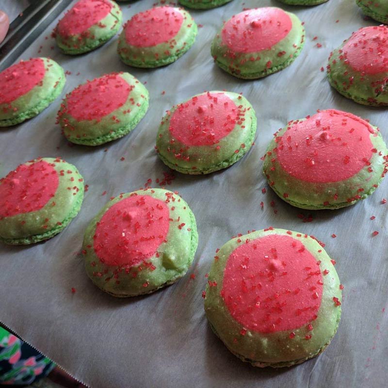  My attempt at watermelon macarons that turned out to be Martian titties