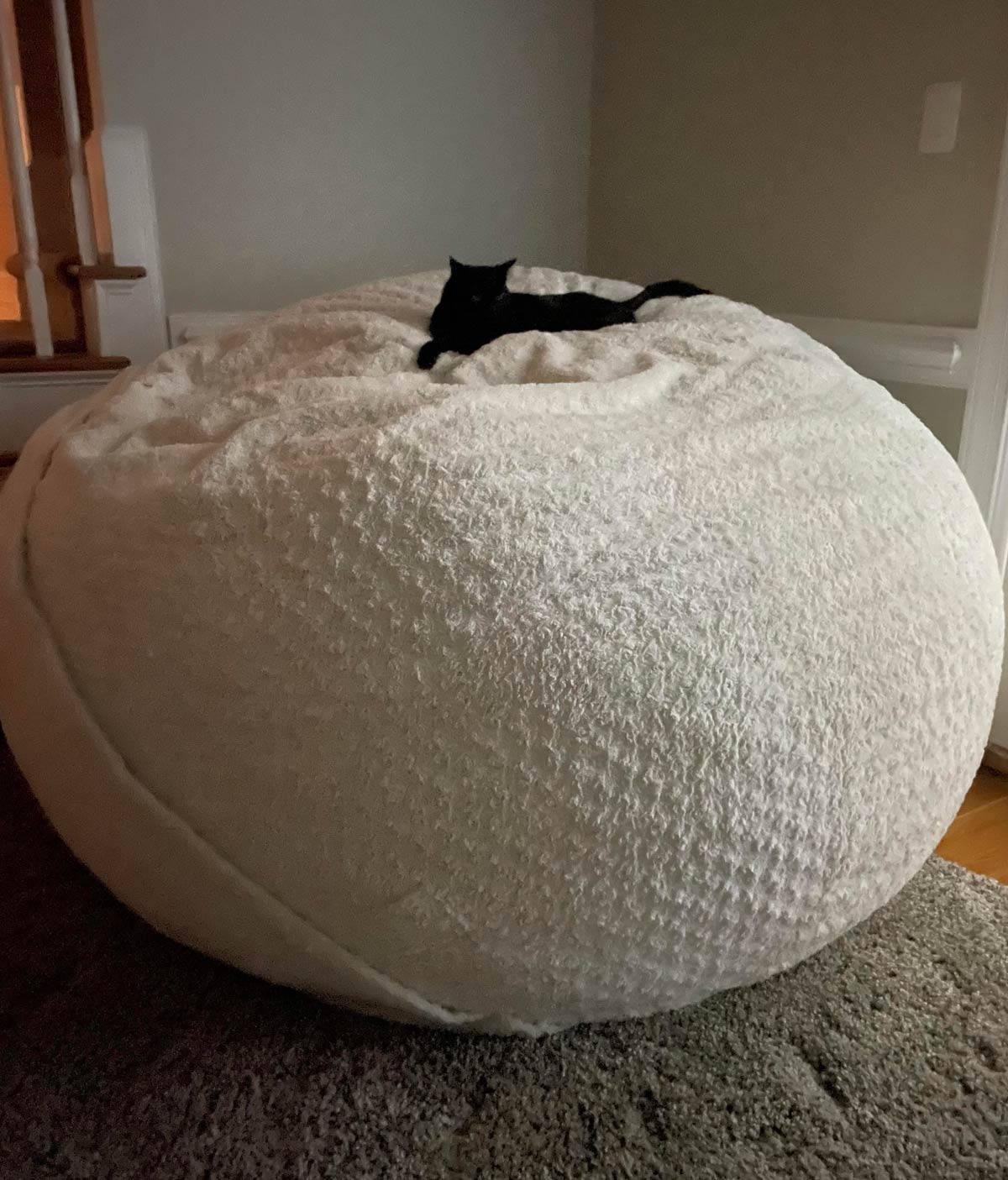 New cat bed. Whatcha think?