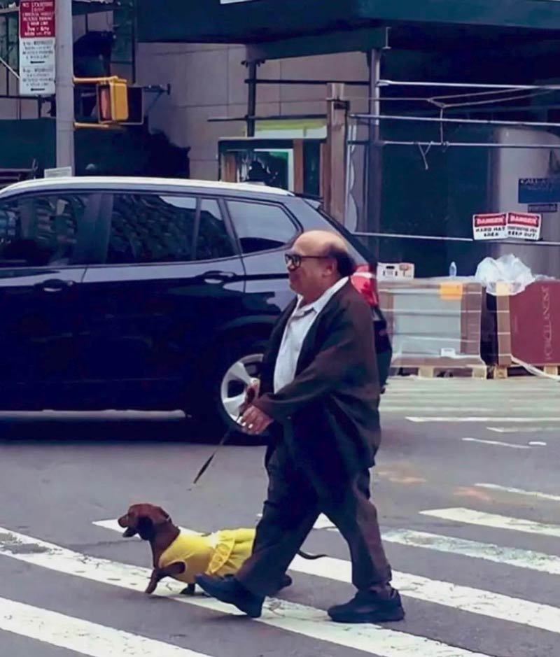 Mini man walking with his Mini dog