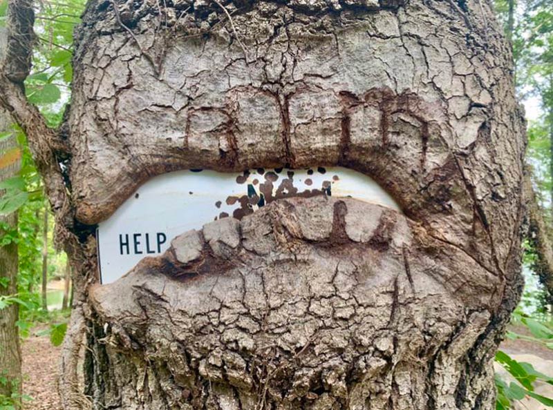 Tree grew around this sign, only leaving the word “Help” visible
