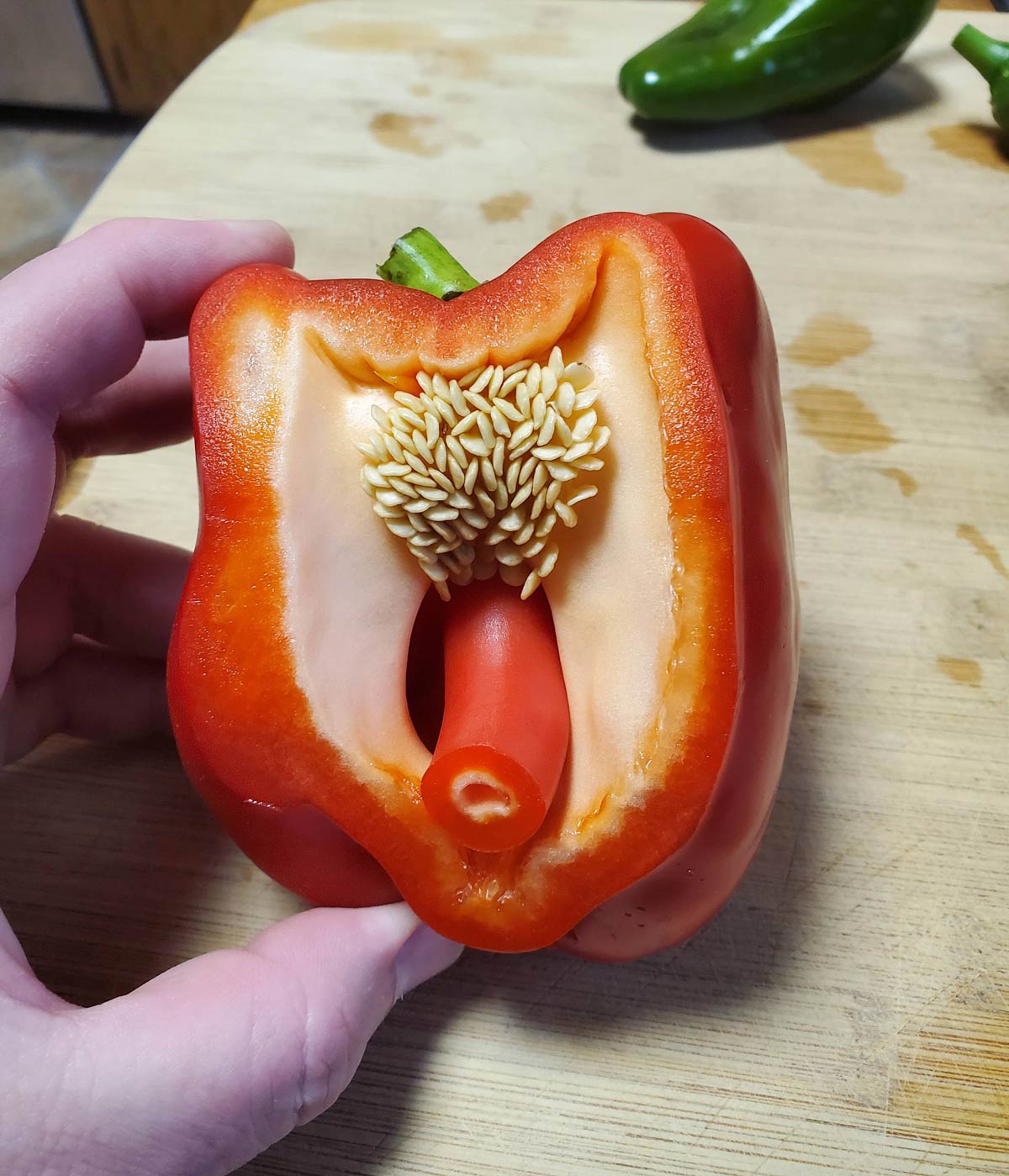 This bell pepper I just cut open makes me...uncomfortable