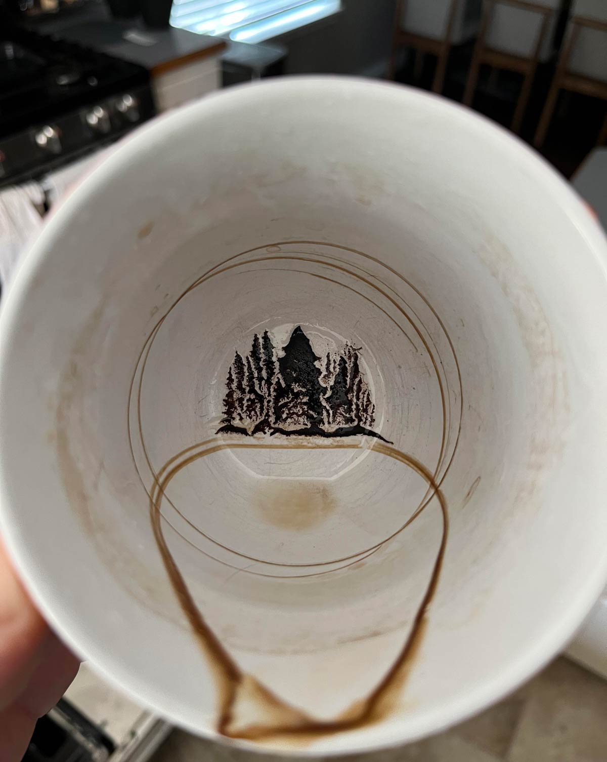 My dirty coffee cup looks like a pine forest