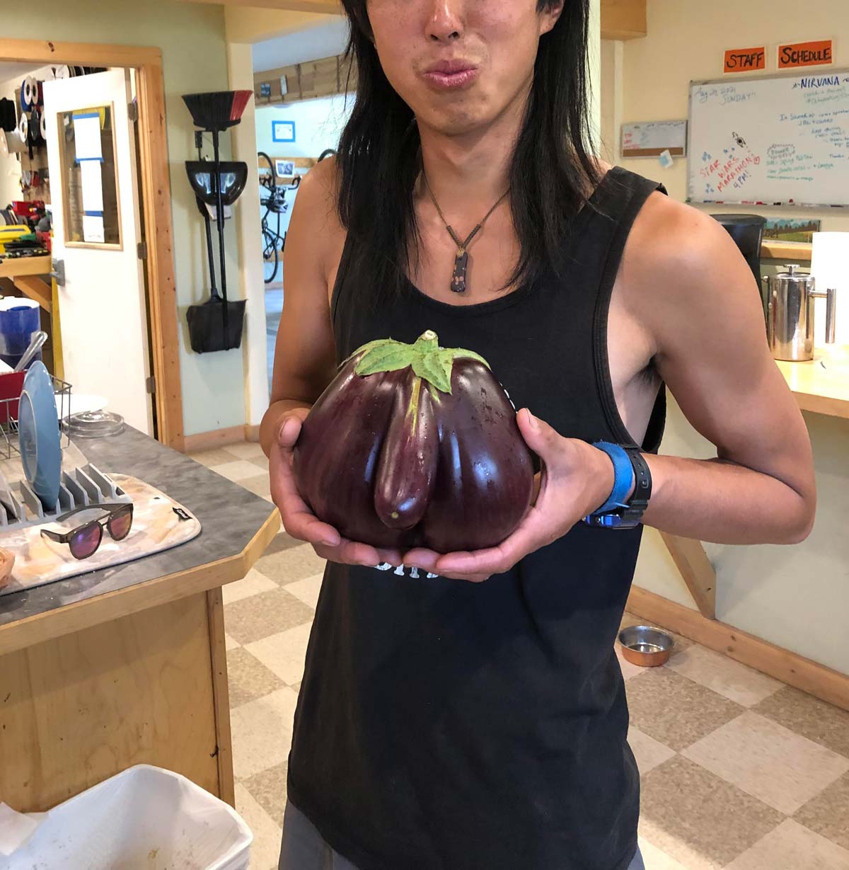 If the eggplant emoji was anatomically correct..