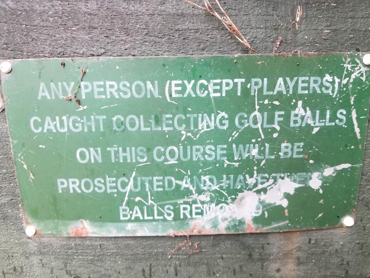 The penalty for golf ball theft is severe at my local course