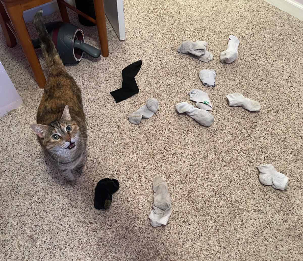 This is my boyfriends office, he works from home. Here are all of the socks she brought up from the basement to the third floor for him today