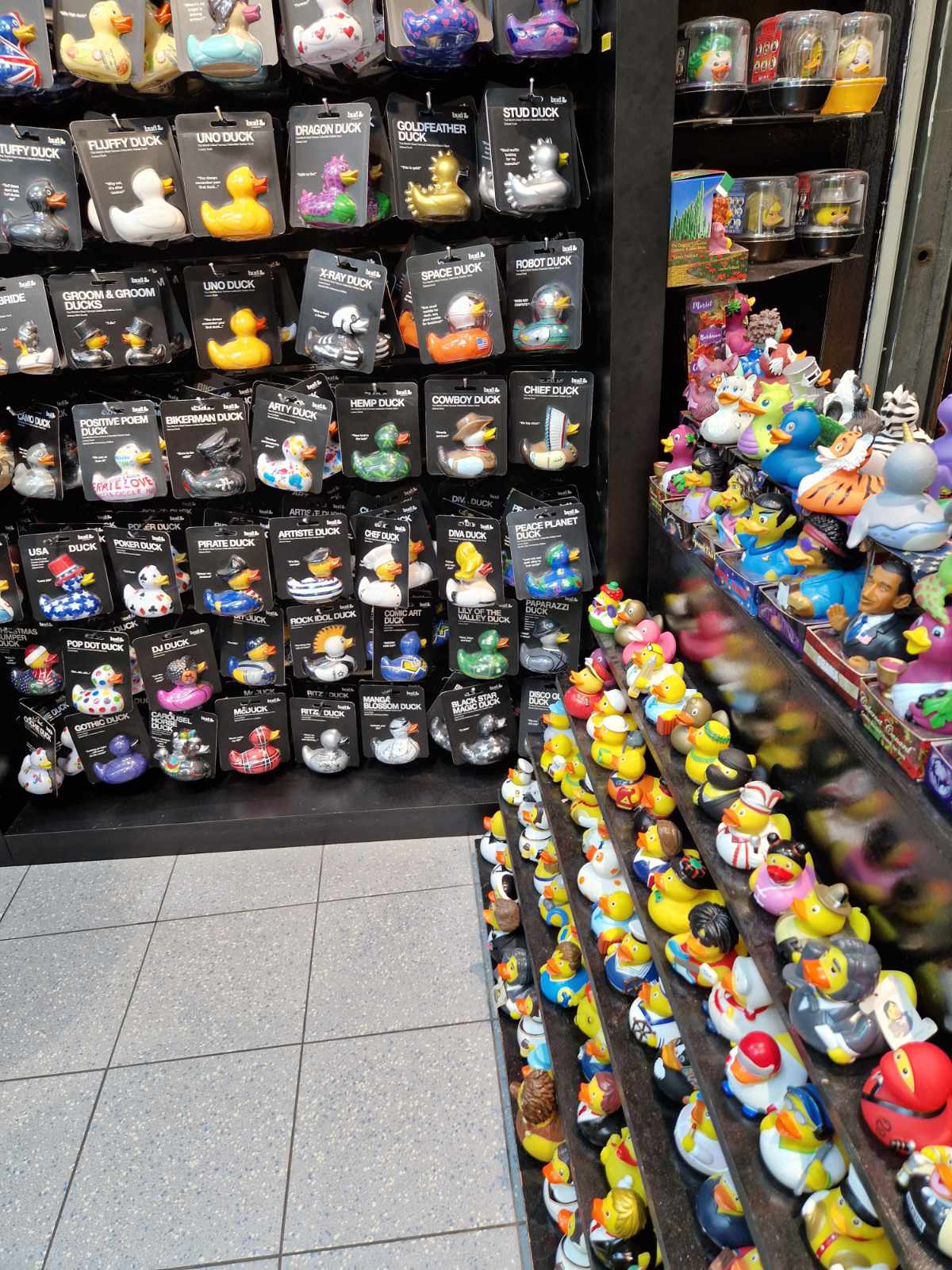 Duck Shop in Amsterdam