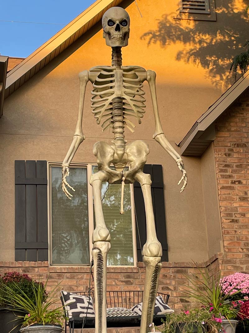 My husband made a minor addition to our neighbor’s Halloween skeleton while they are out of town