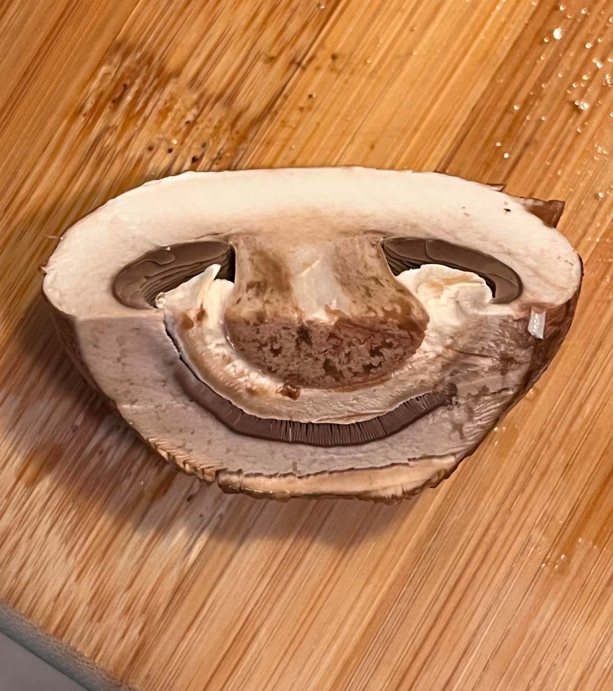 Mushroom I chopped looks like a sloth