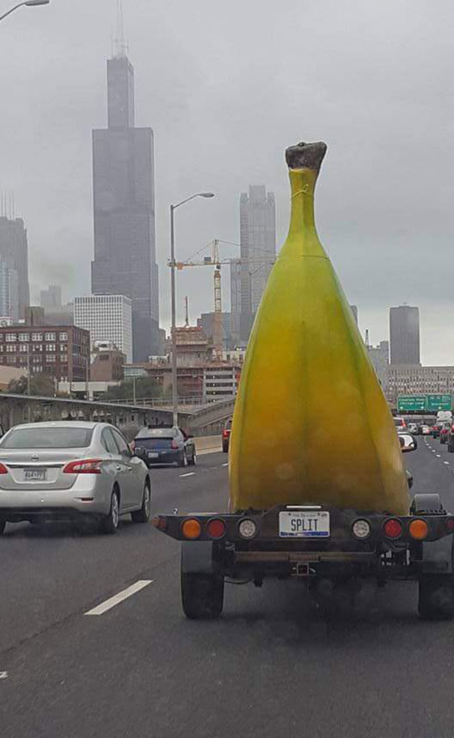 Sears Tower (Banana For Scale)