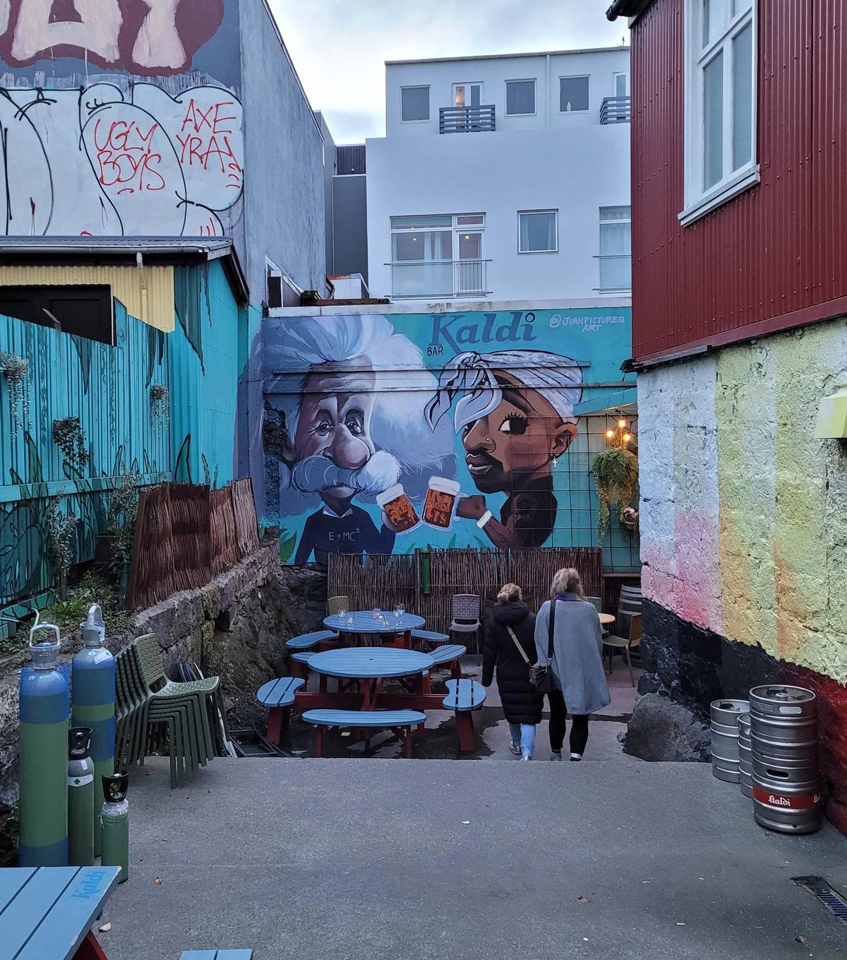 Tupac & Einstein having a beer together at this restaurant in Iceland