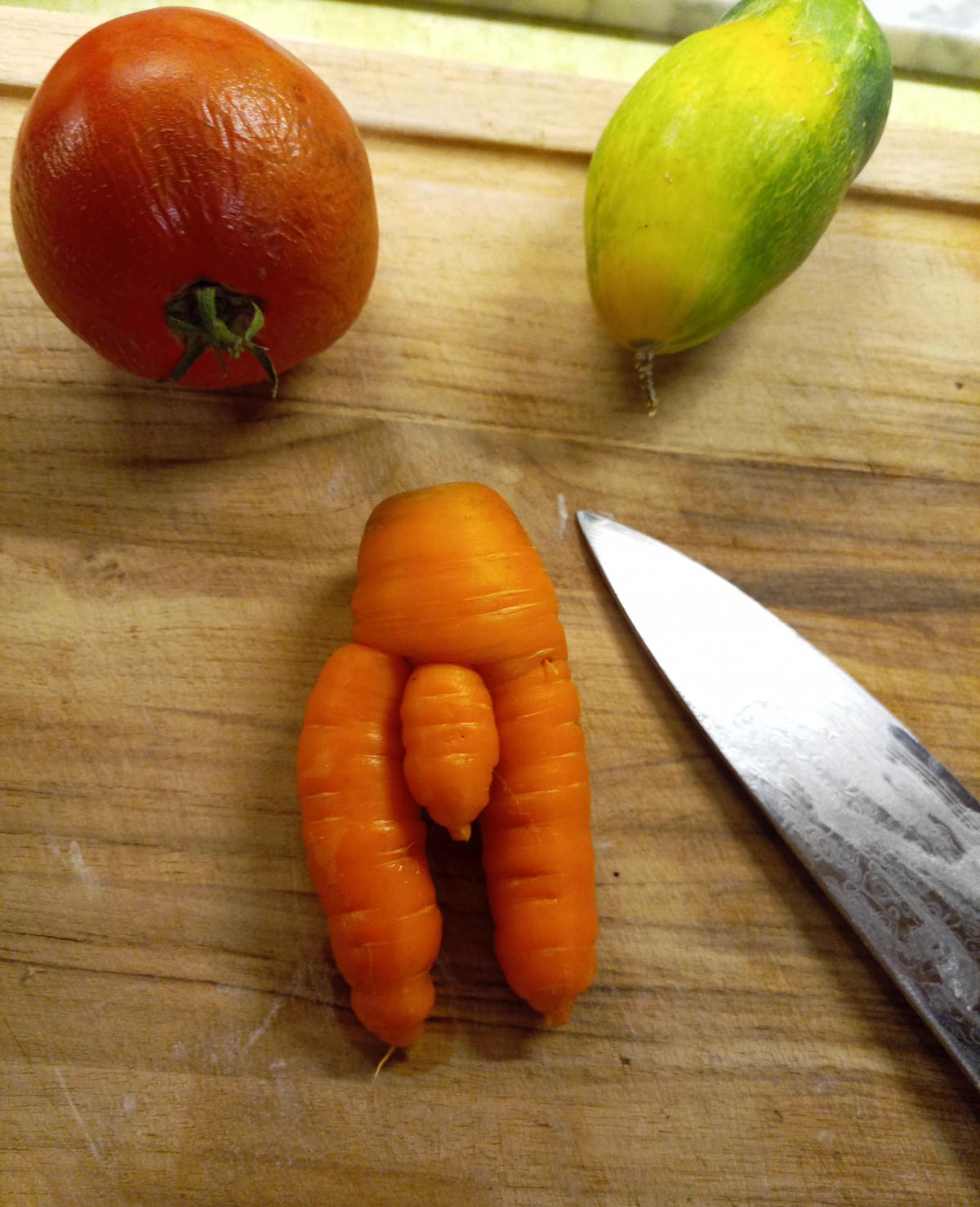 This carrot my wife grew