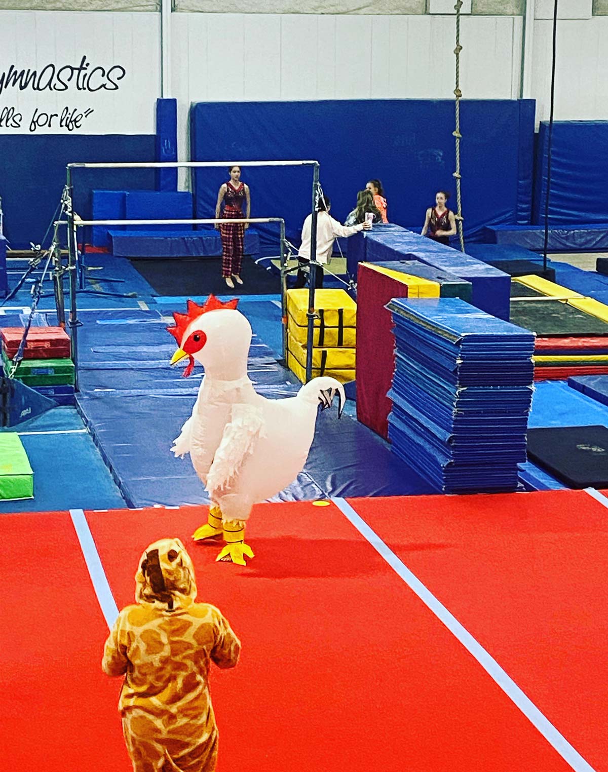 My daughter got to wear a costume during gymnastics practice and this is what she chose. 🐓