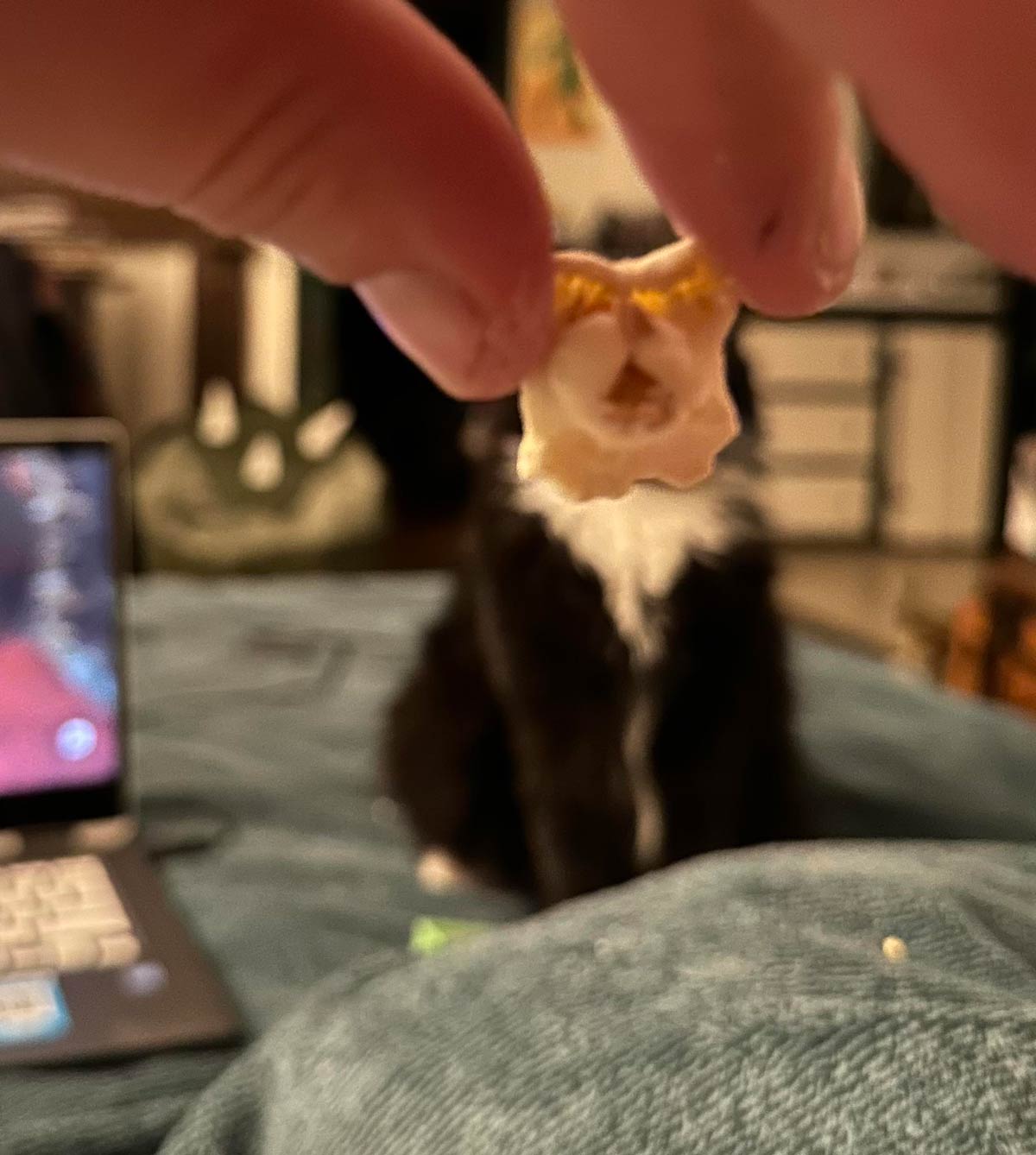 This piece of popcorn looks like my girlfriend’s cat