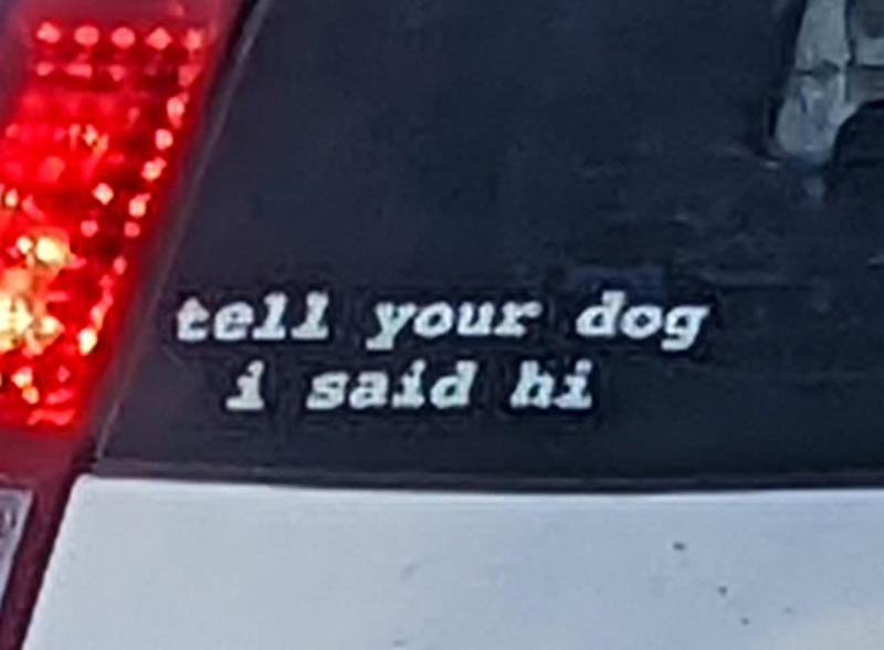 Seen on a car today