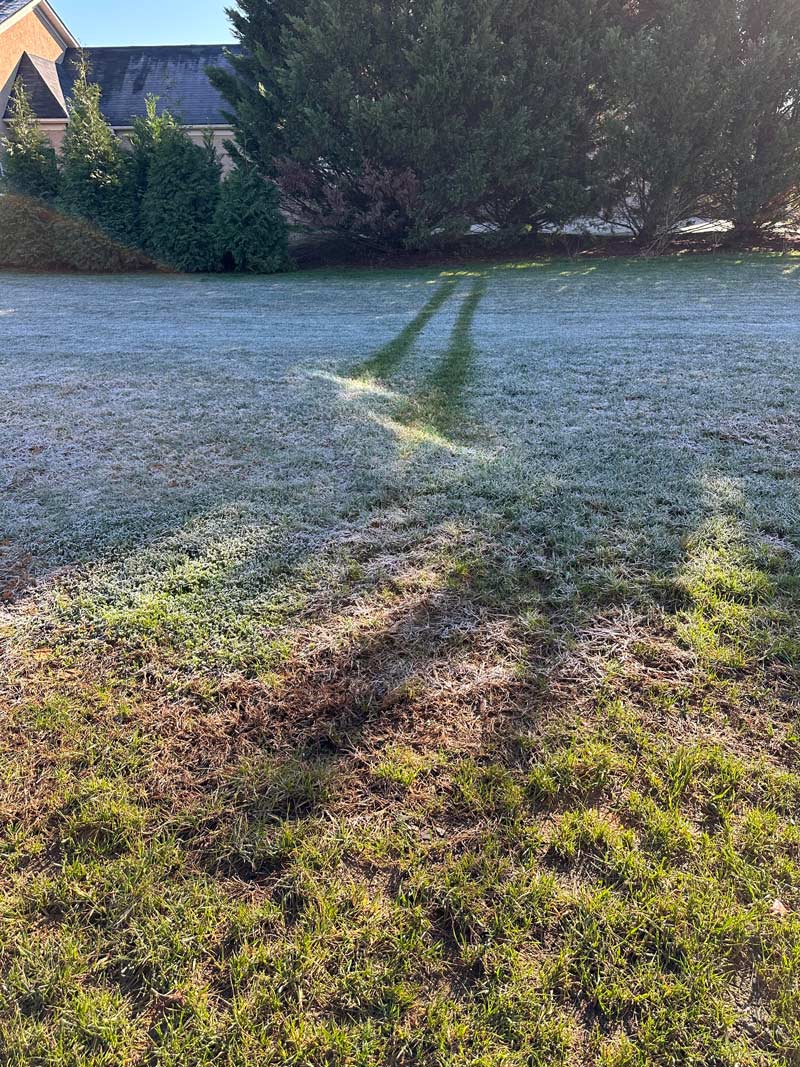 Window reflection melting frost looks like someone hit 88mph in a DeLorean