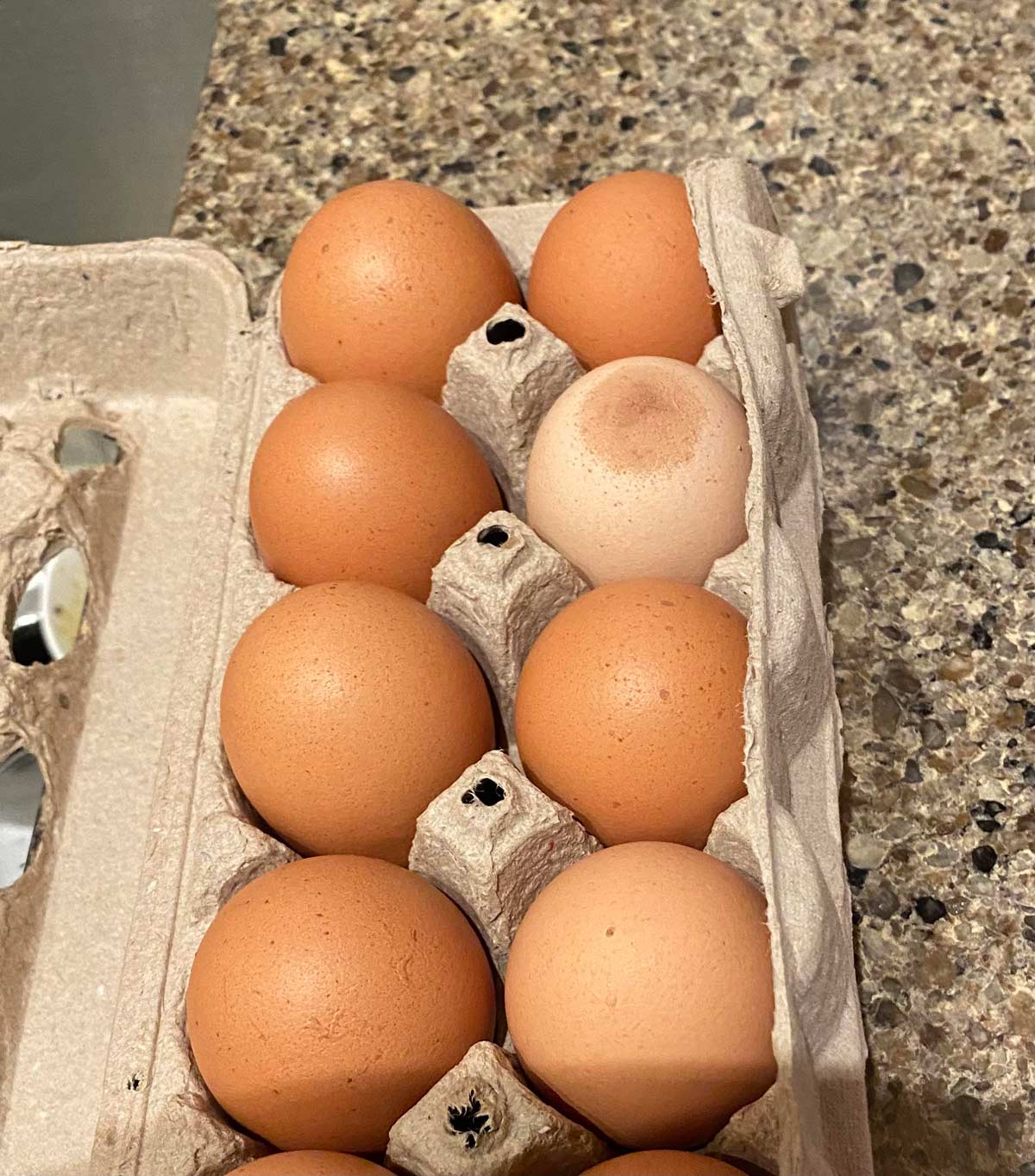 Bought some eggs today and one is a bit different than the rest