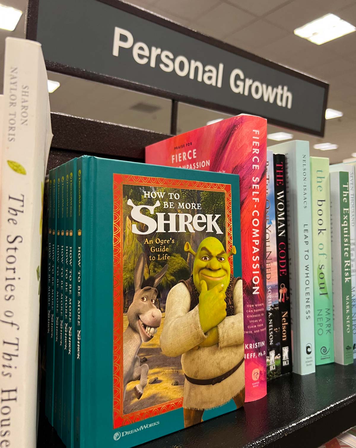 Saw this at my local bookstore