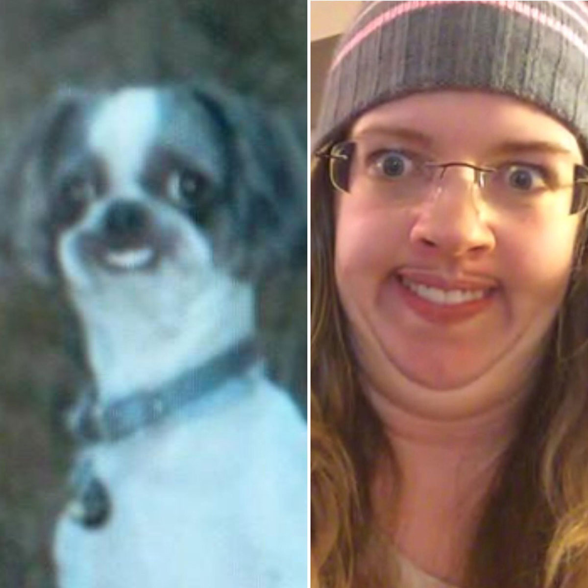 Just my impression of this dog