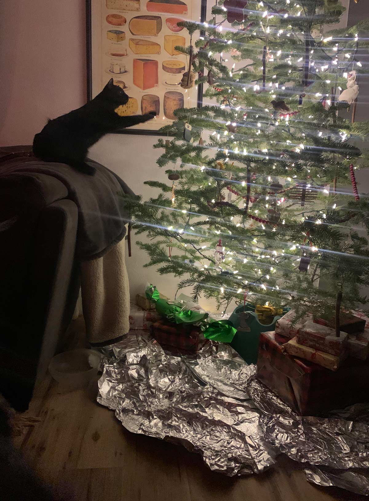 The cat is trying to circumvent the Christmas tree force field