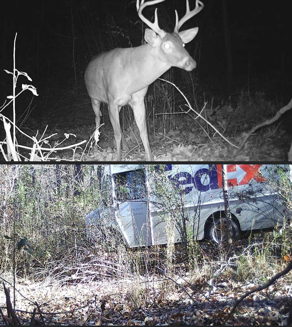 Trail camera caught a FedEx driver using an atv trail through the woods as a shortcut