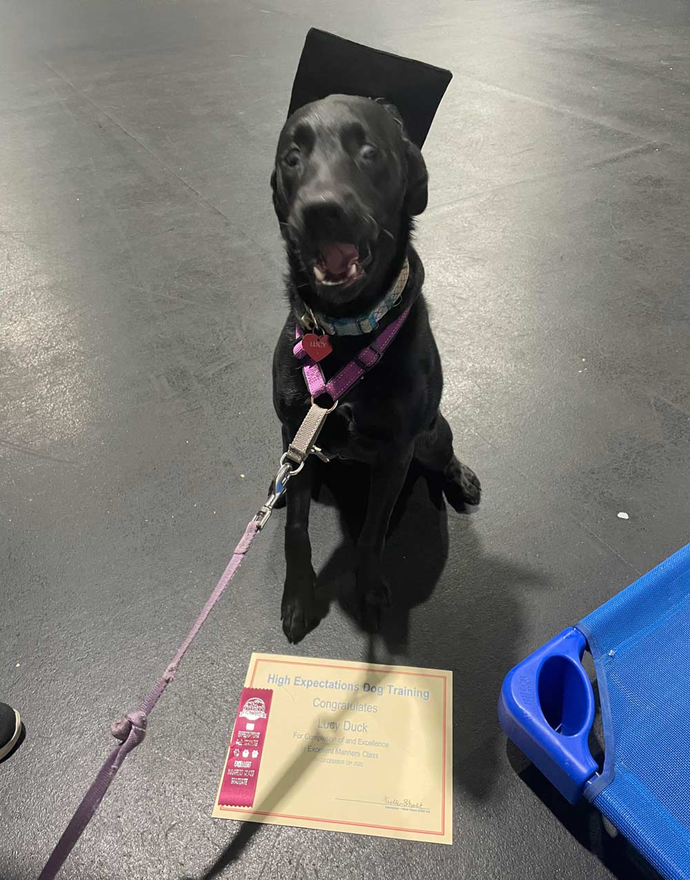 Our Puppy’s Graduation from training photo. We are so proud