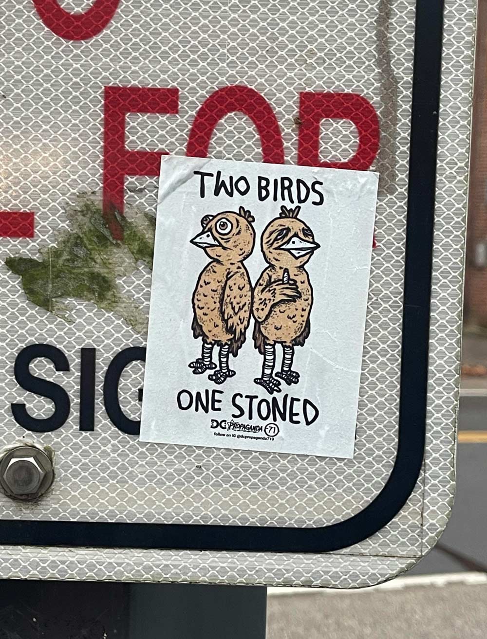 Two Birds...