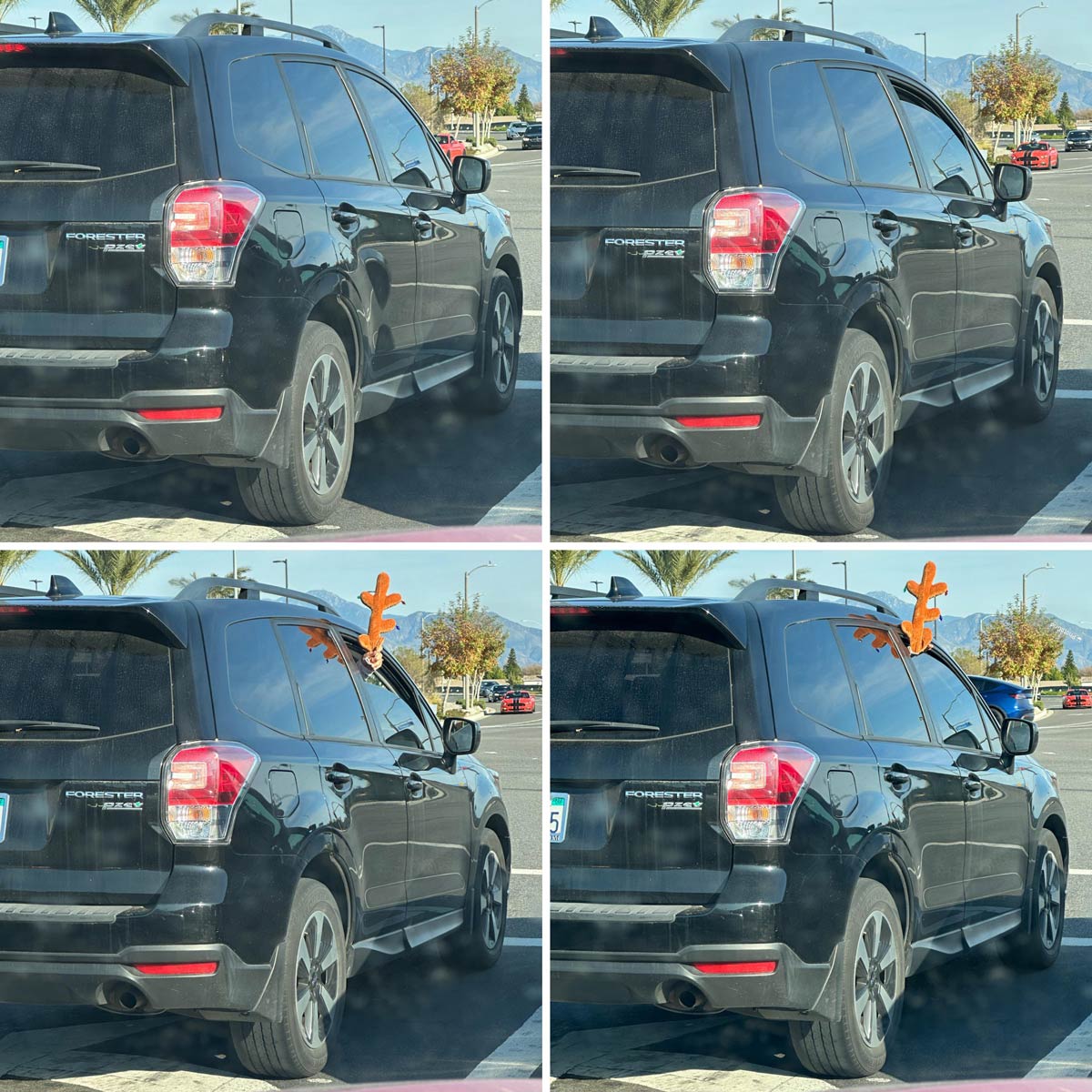 Yesterday I managed to witness the rare and miraculous birth of a seasonal reindeer vehicle while waiting at a red light