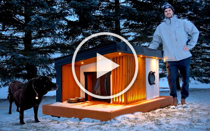 Building a Modern Dog House