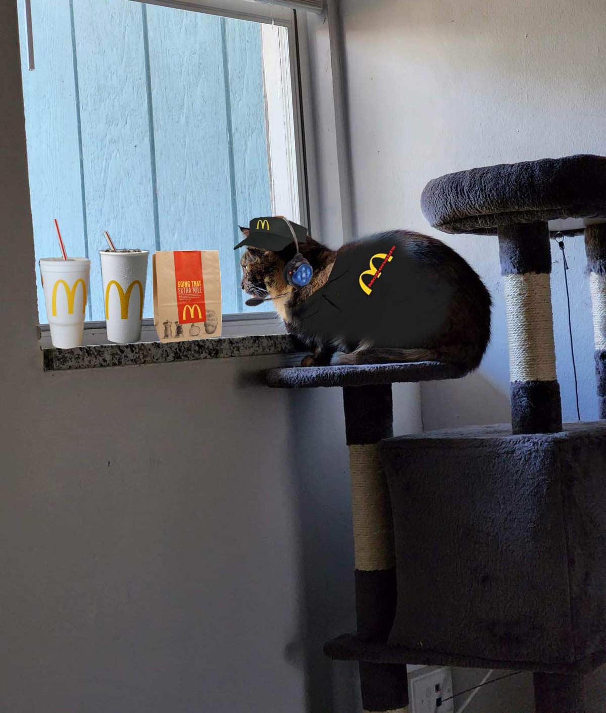 My cat always looks like she's trying to take an order by the window so I edited her into a McDonalds employee