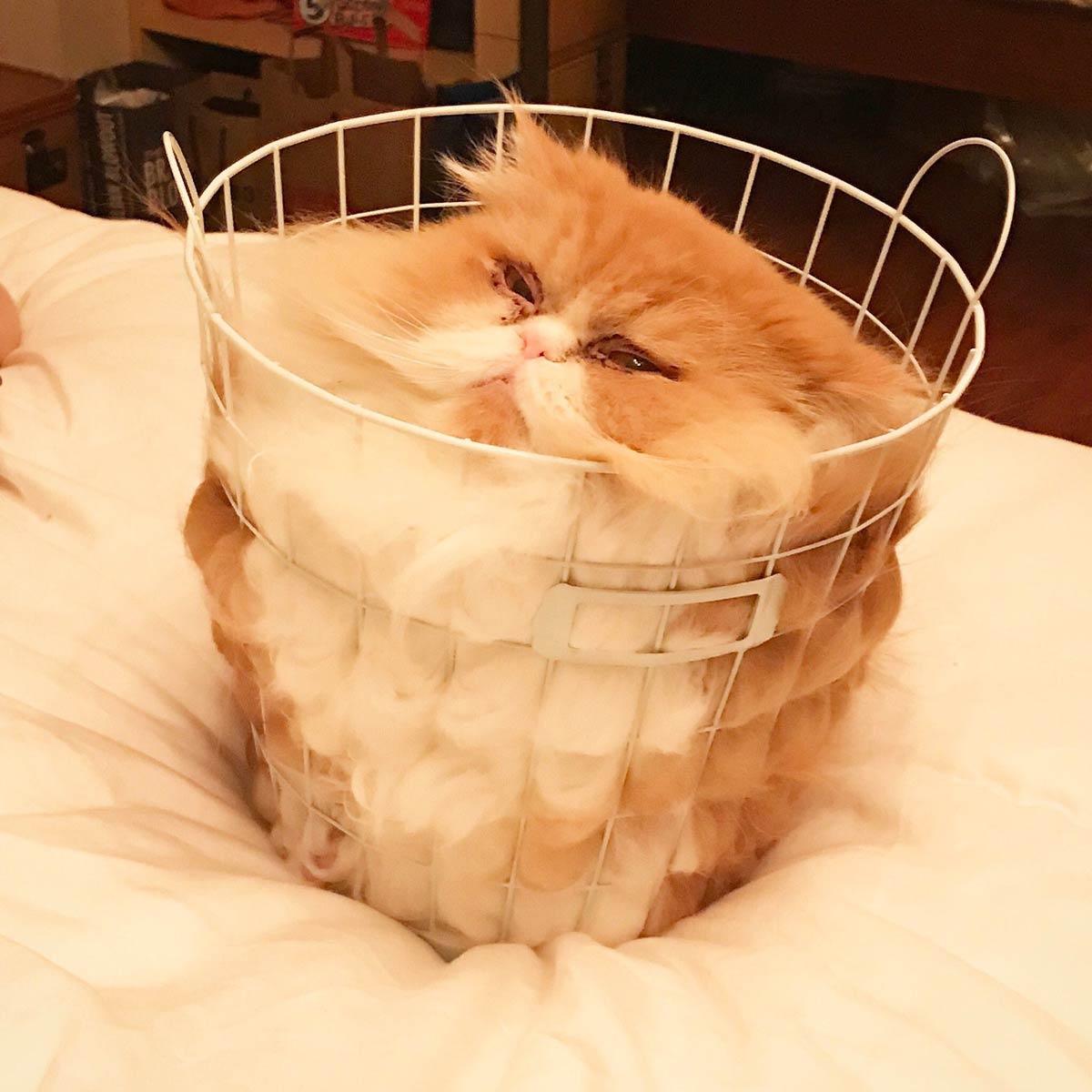Fluff Basket