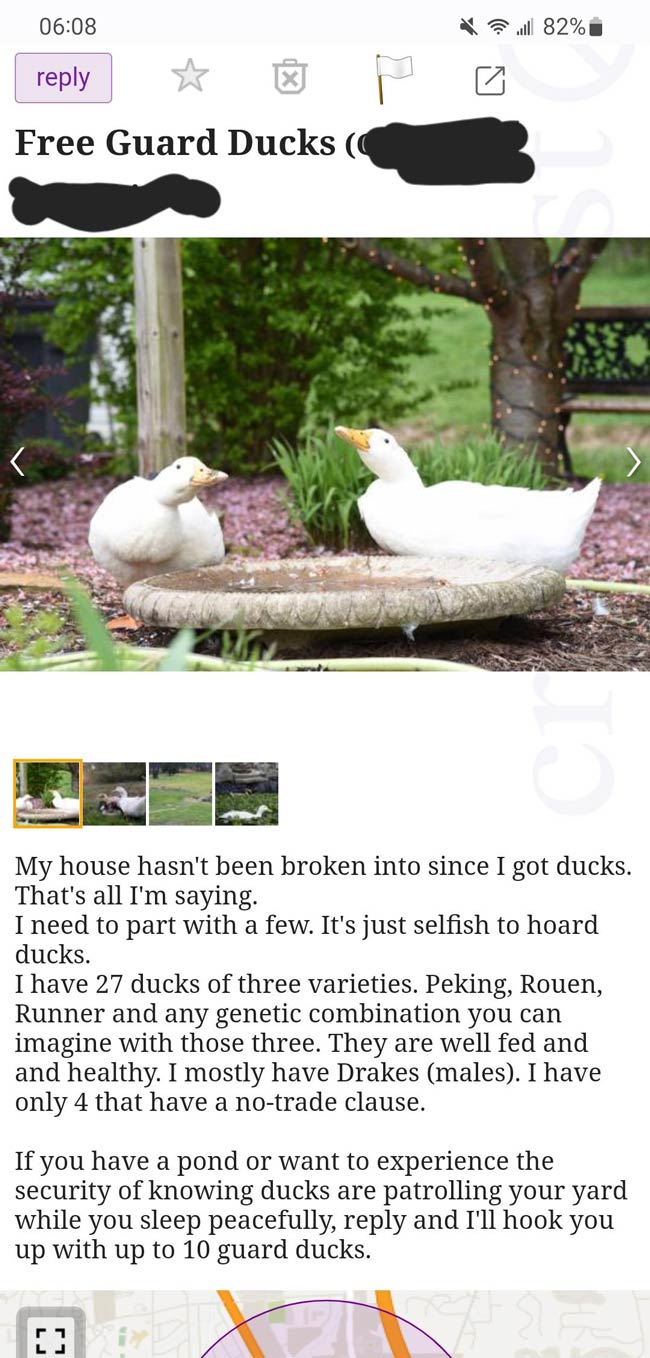 Free Guard Ducks