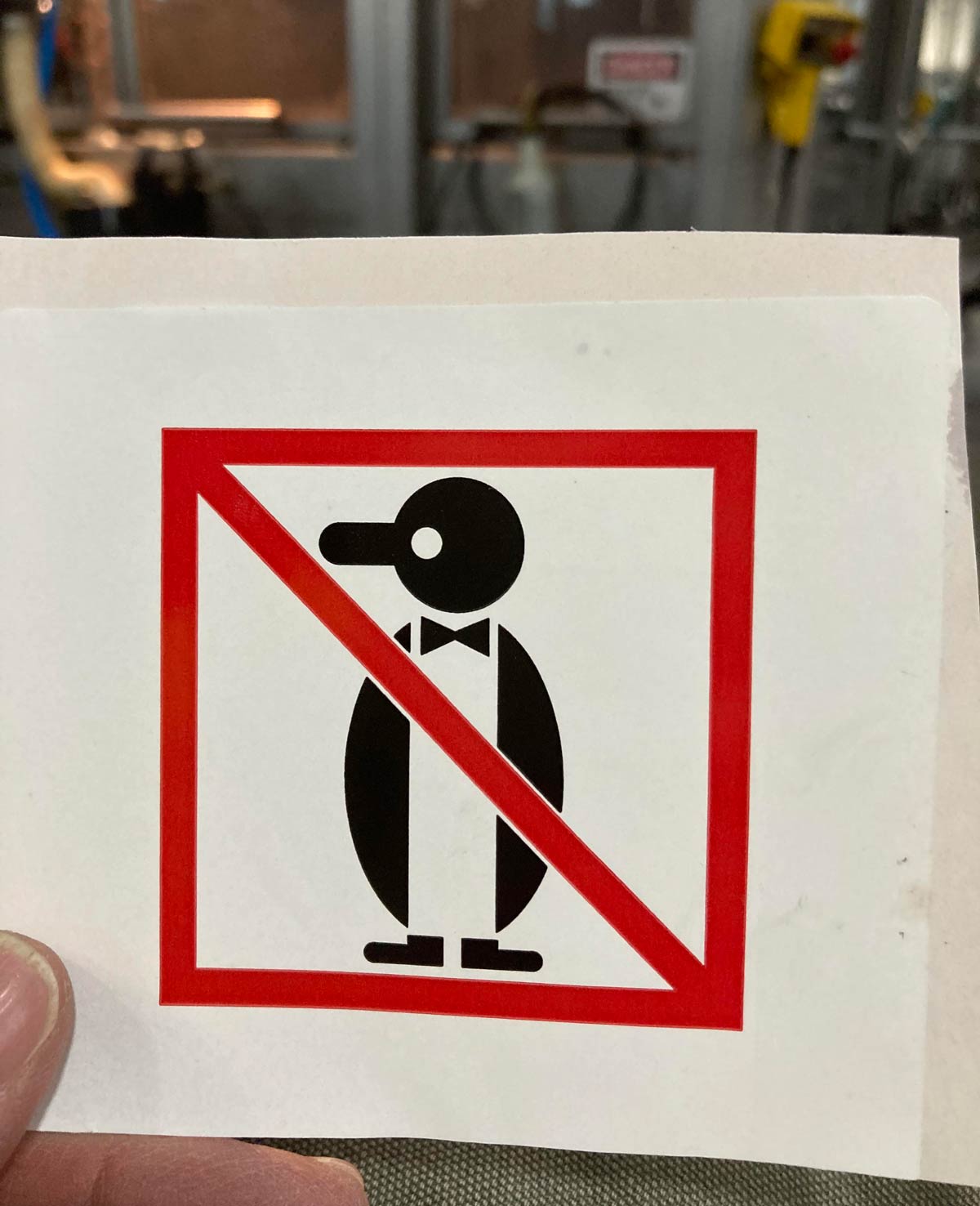 No Penguins wearing bowties