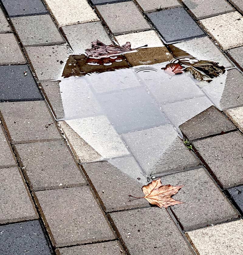 Puddle didn’t fully render