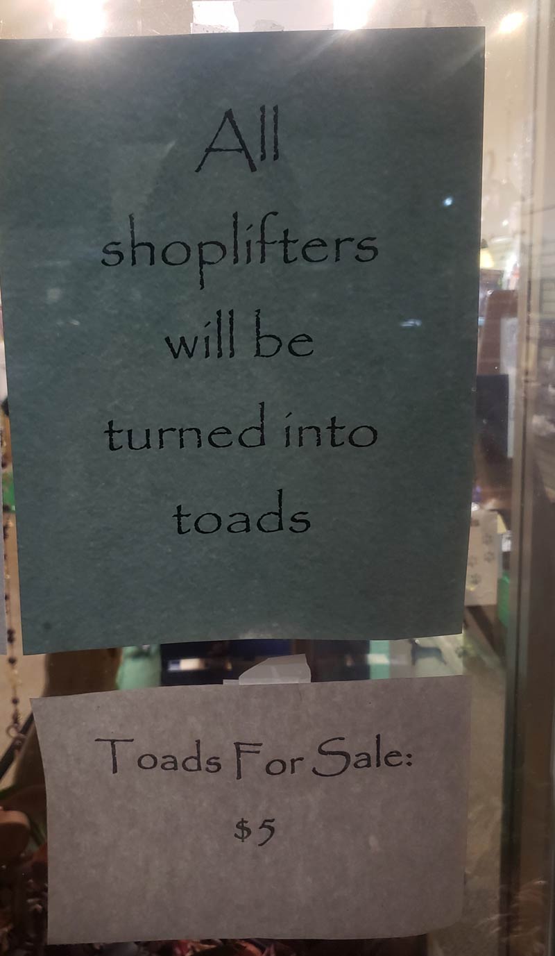 Toads for sale