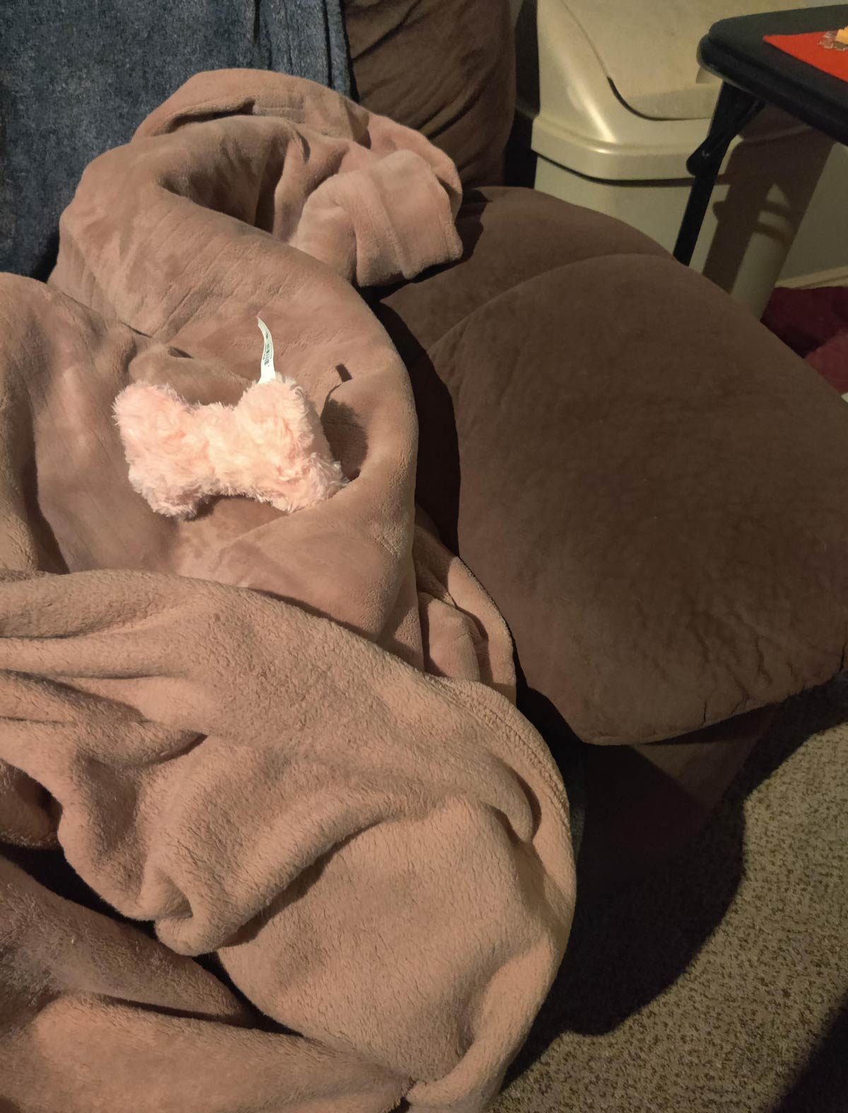 Is this blanket pink or brown? My wife and I have been debating this for 10 minutes
