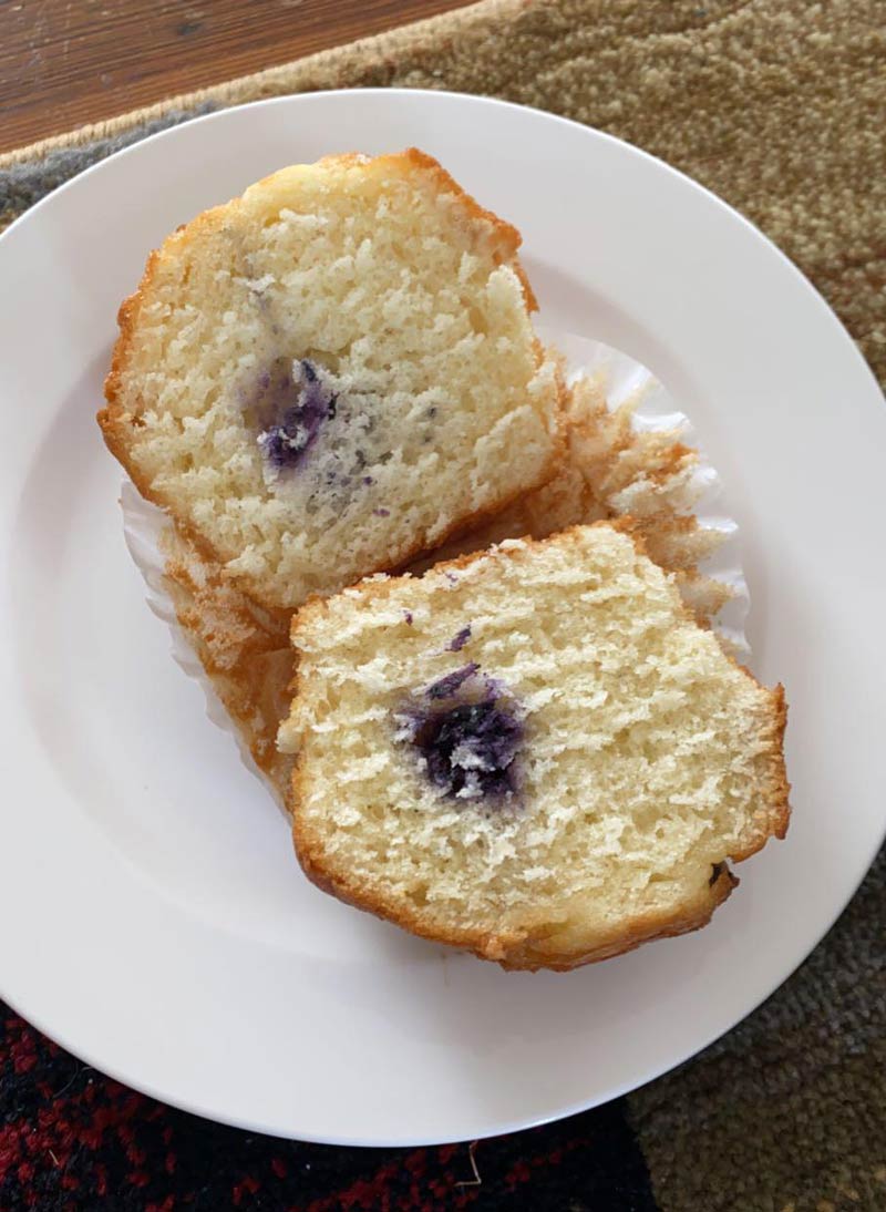 This blueberry muffin I bought at the grocery store