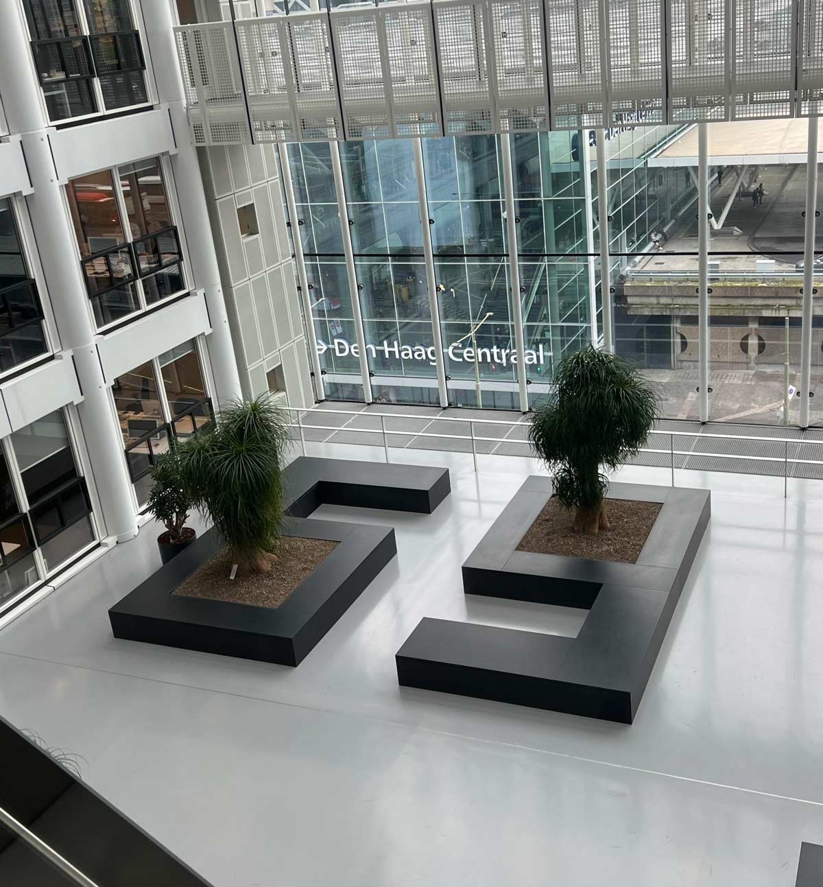 Planters in the Dutch ministry of foreign affairs