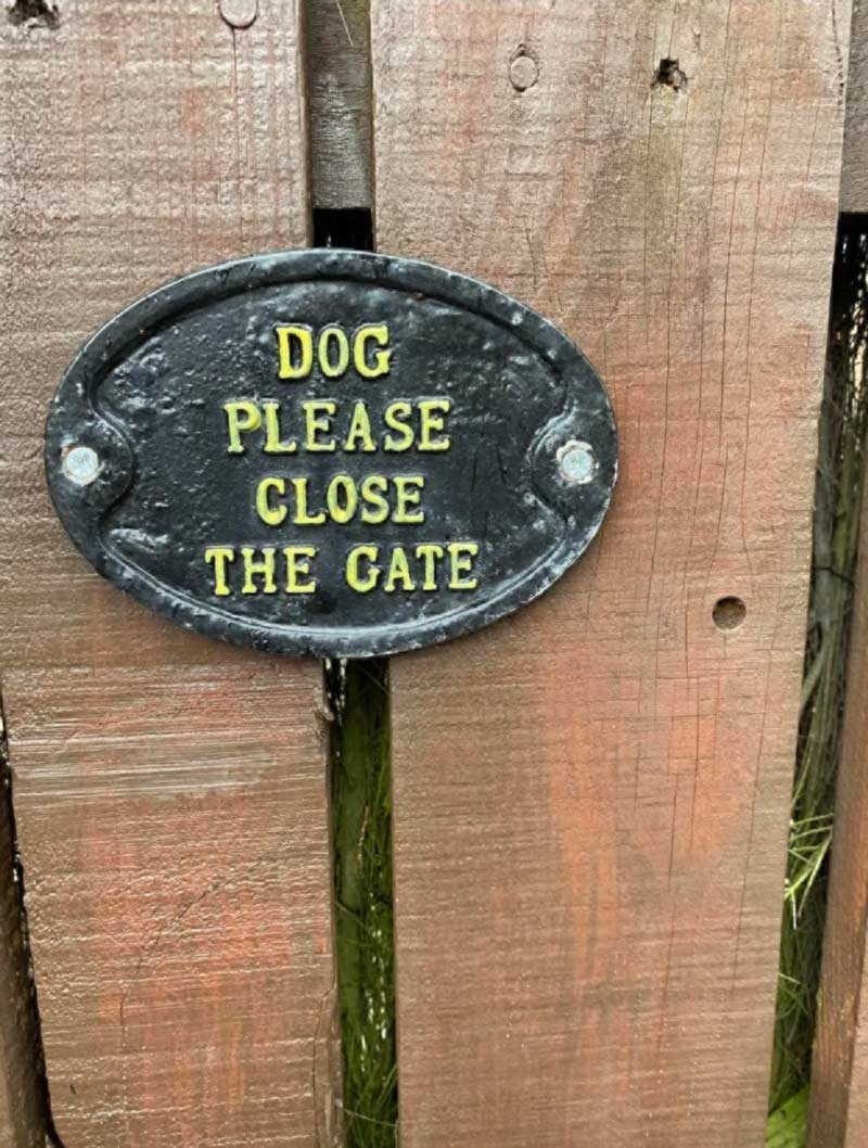 C’mon dog, stop leaving the gate open
