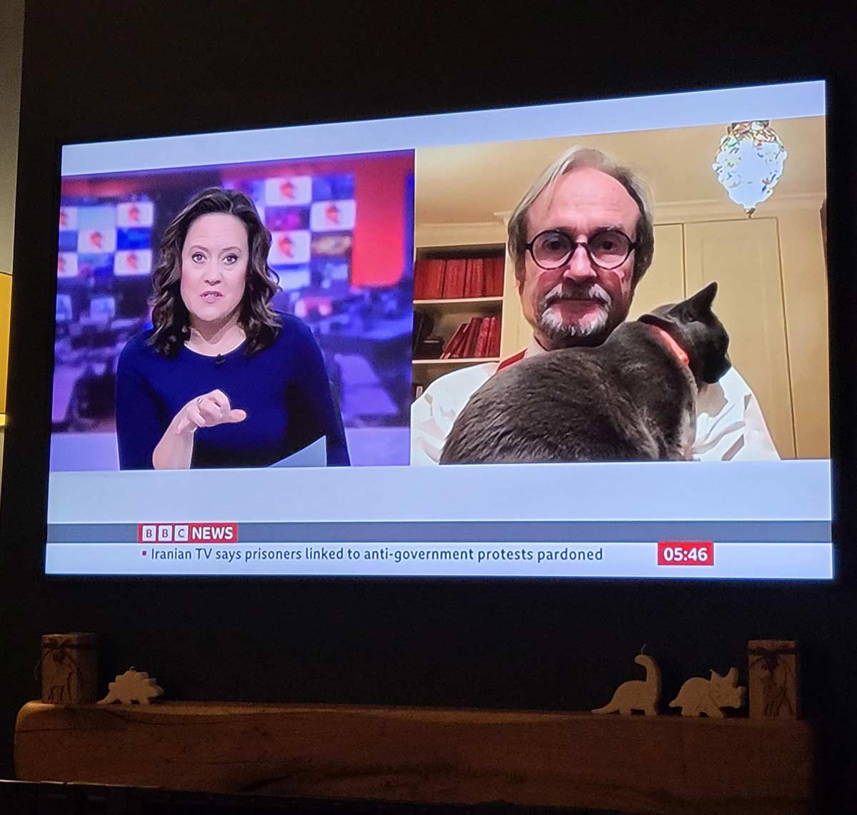 Expert on BBC breakfast does report with Cat casually chilling on his chest