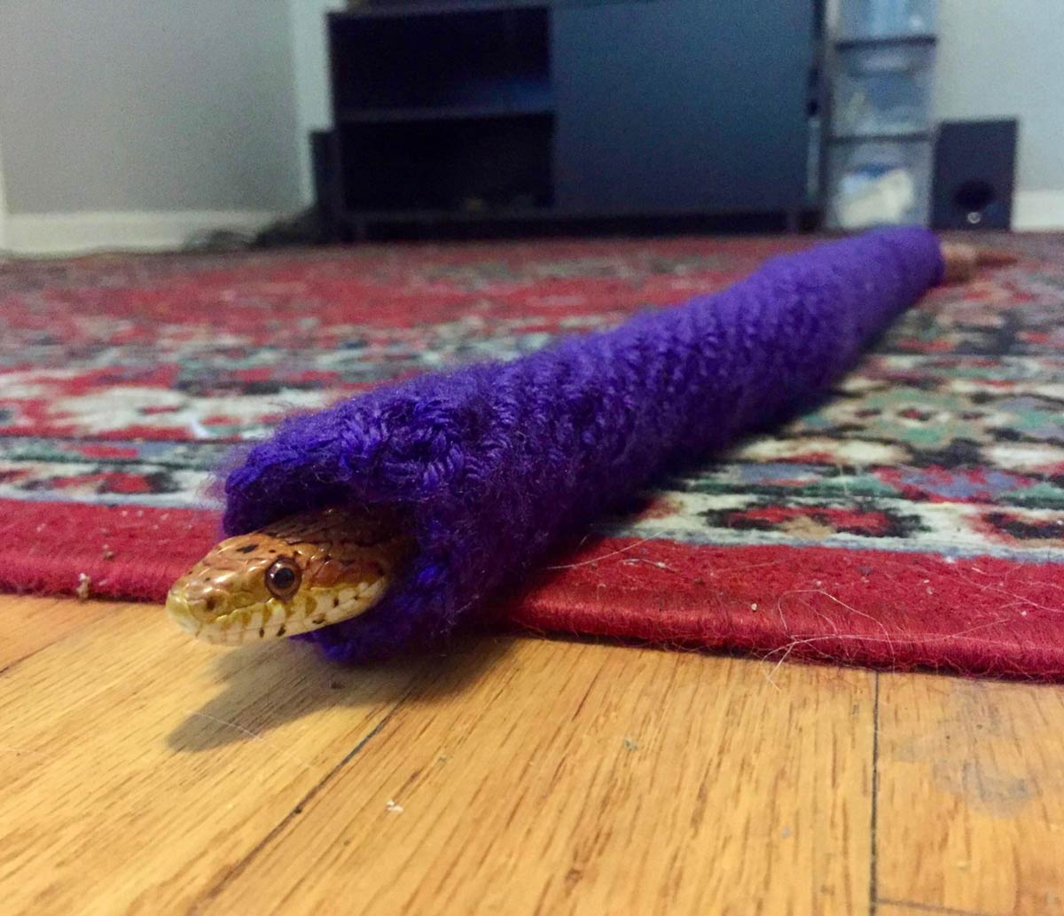 Knitted Snake Snuggie