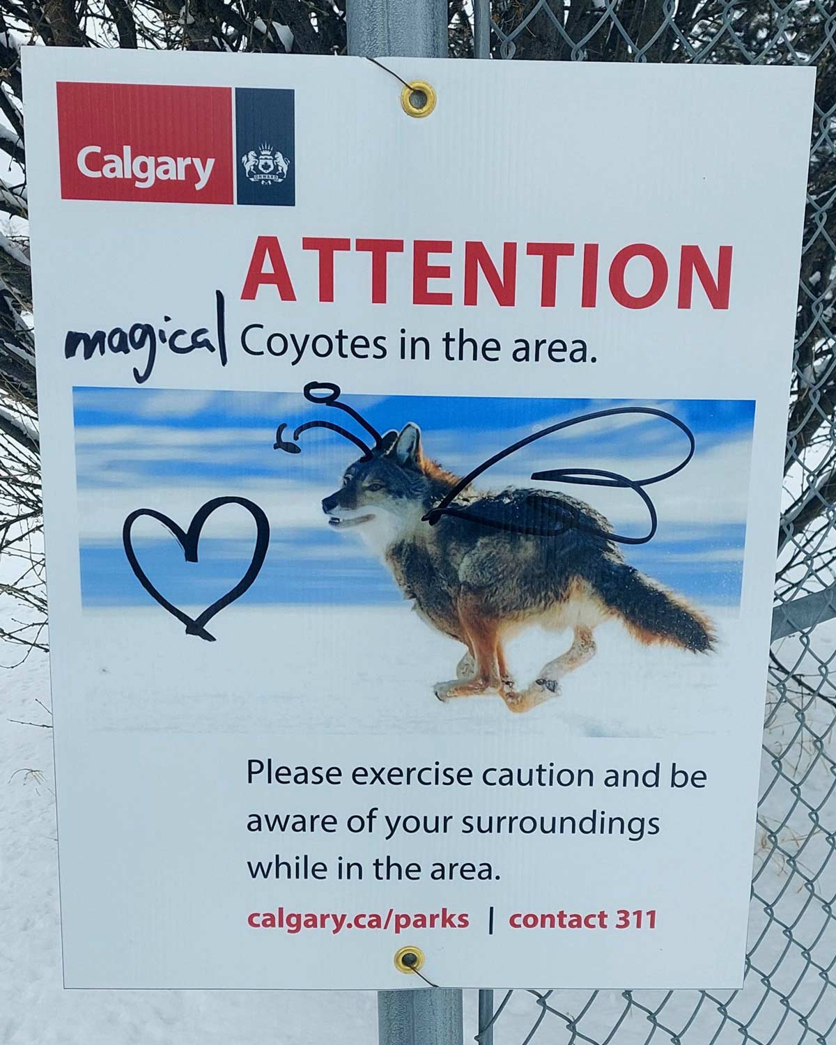 Saw some Canadian vandalism on a walk