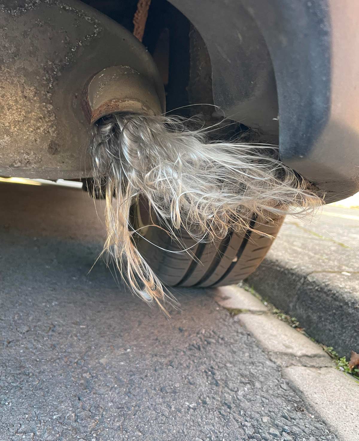 My exhaust pipe has sprouted a lovely silver wig