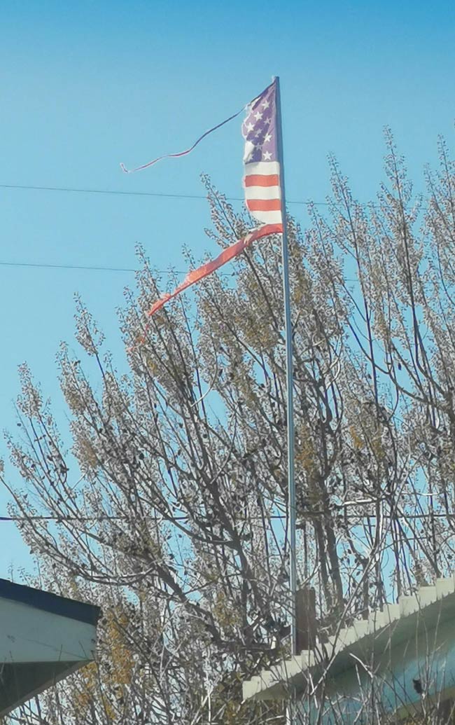 I think my neighbor may need a new flag