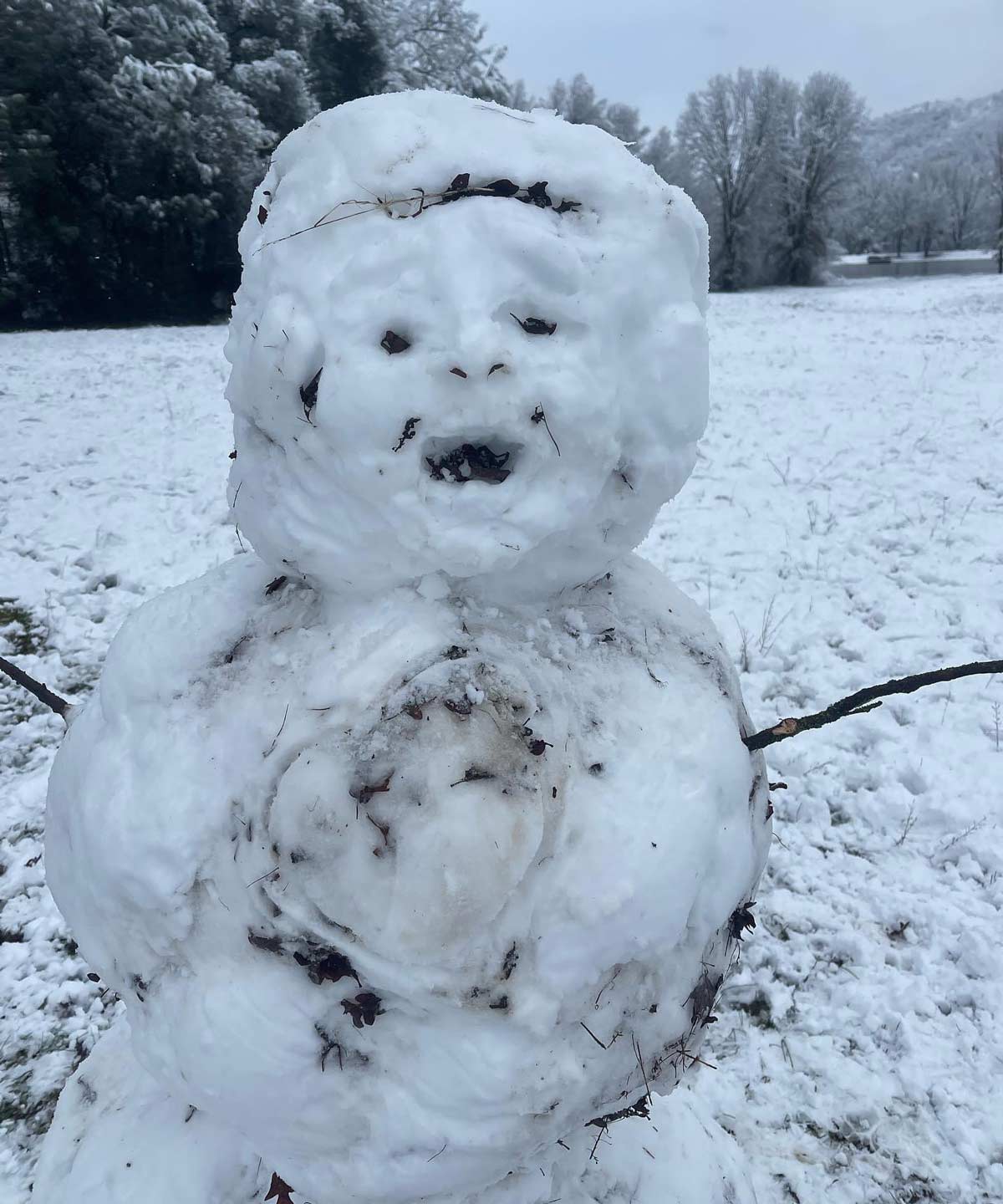 Rare snowfall in California. Friend set out to make a “realistic” snowman